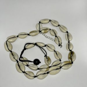 Sea cowrie shell necklace